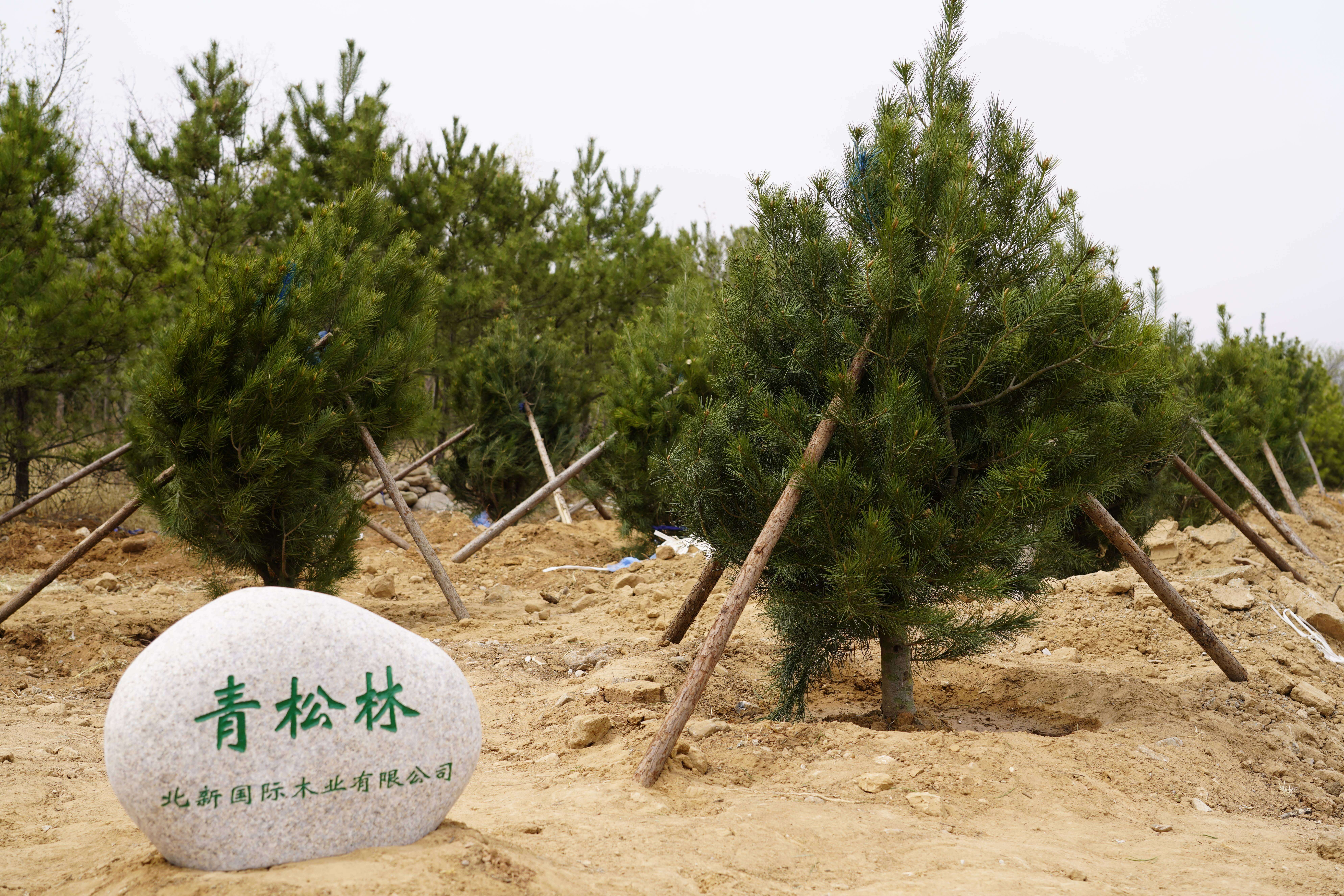 ba92c19f7dde0034cb3726de8f74d45.jpg ba92c19f7dde0034cb3726de8f74d45.jpg