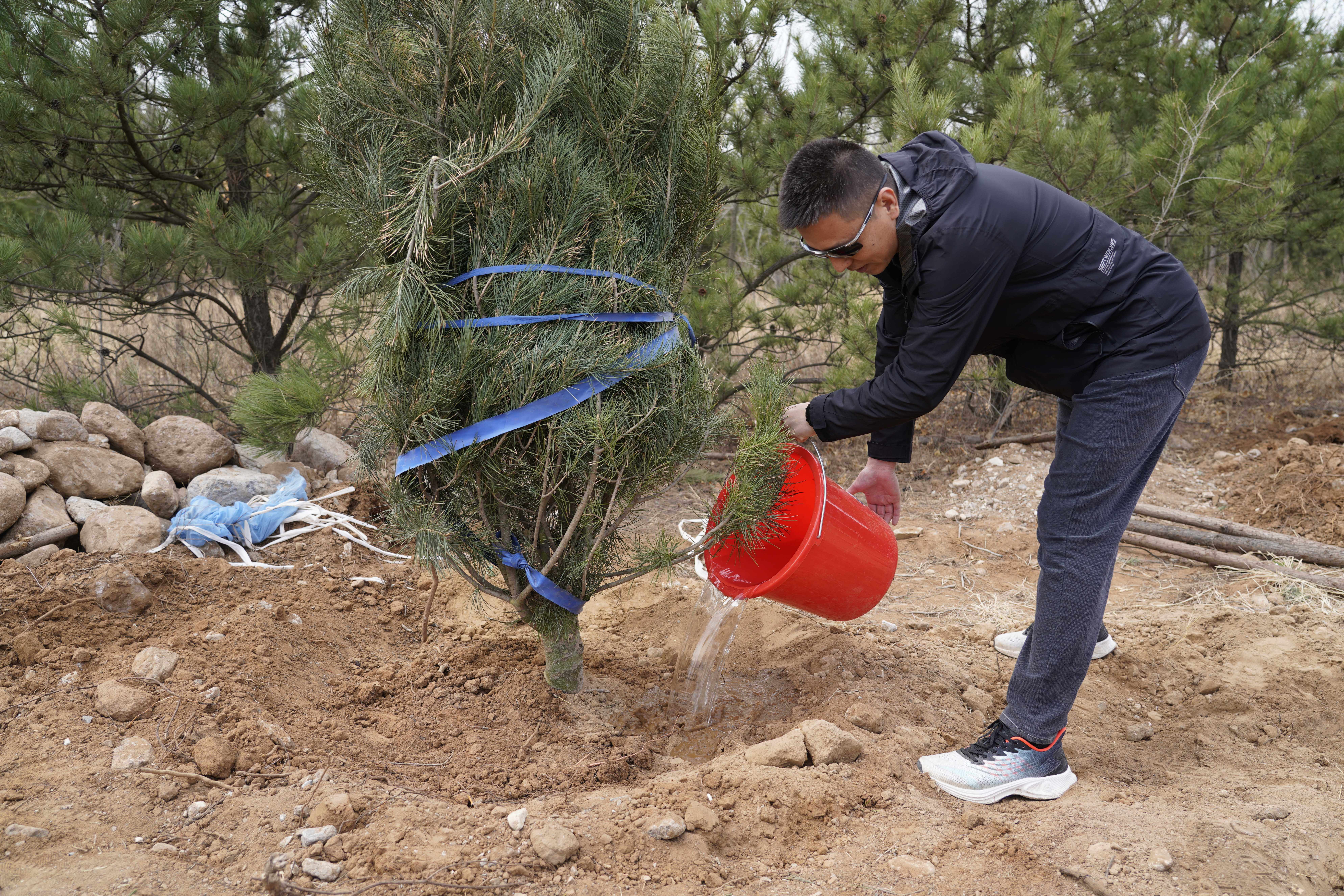 742b3fc440b1a69f8fae1fcaad5739b.jpg 742b3fc440b1a69f8fae1fcaad5739b.jpg